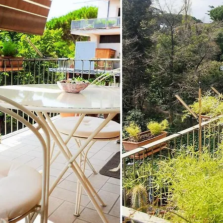 Casa de hóspedes Romulus Rex Roma