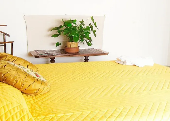 게스트하우스 Romulus Rex 로마