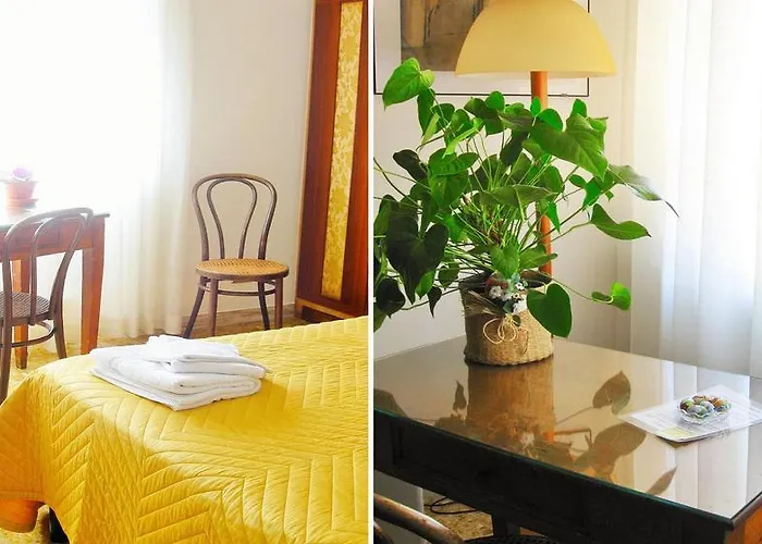 招待所 Romulus Rex 2*