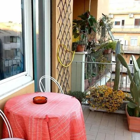 Guest house Romulus Rex 2*
