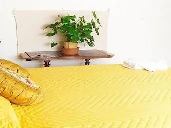 Romulus Rex Guest house 2*