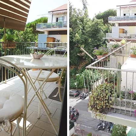 Romulus Rex Guest house 2*