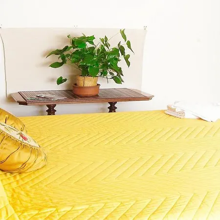 Gæstehus Romulus Rex Rom