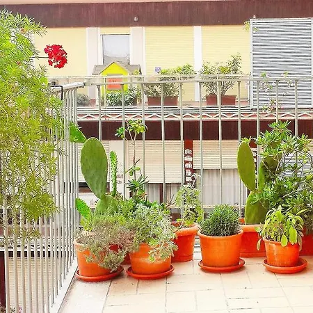 Romulus Rex Guest house 2*