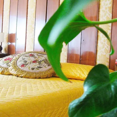 Casa de hóspedes Romulus Rex 2*